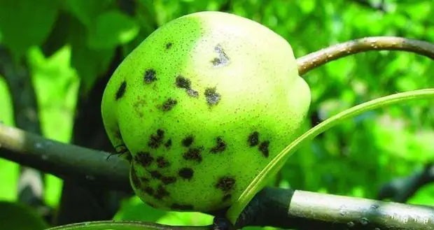 u28884749993023672731fm253fmtautoapp138fJPEG u28884749993023672731fm253fmtautoapp138fJPEG