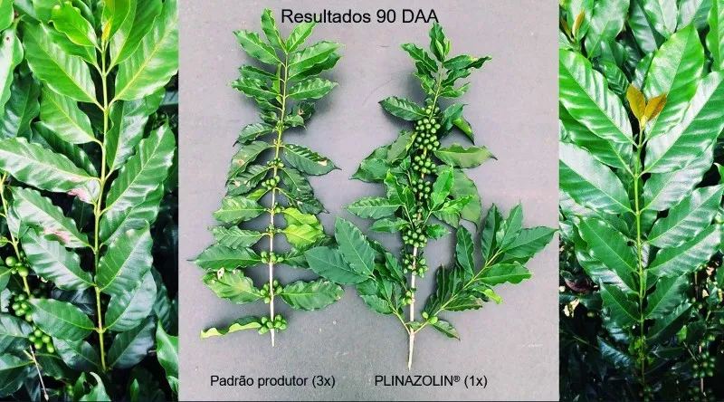 756027283826706670 756027283826706670