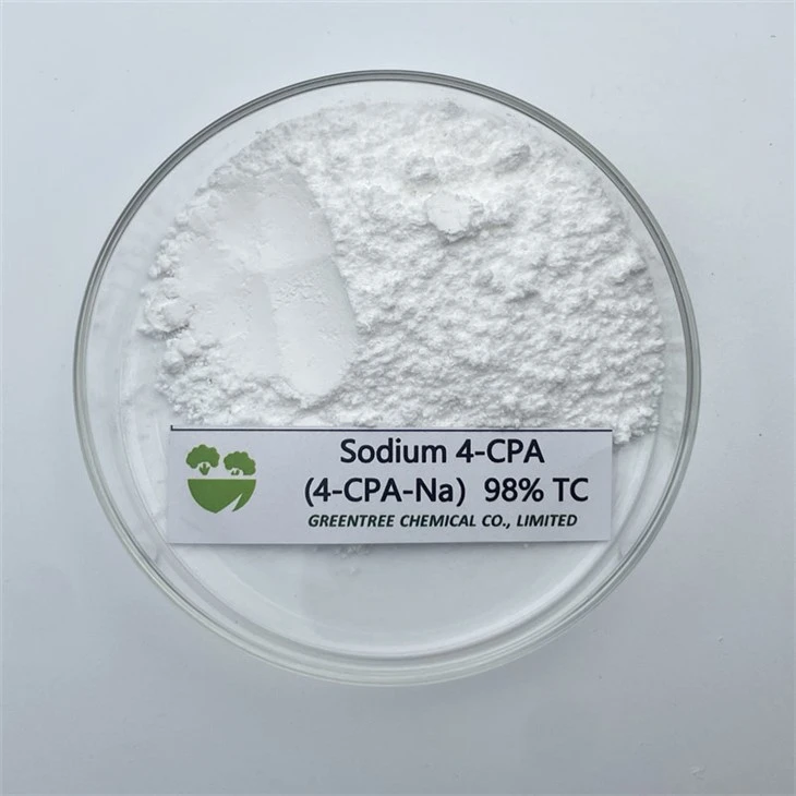 Plant Growth Regulator 4 Chlorophenoxyacetic Acid 4-CPA-Na 98%Tc