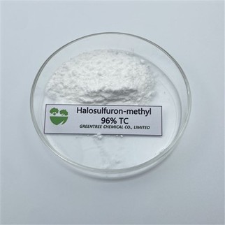 CAS 100784-20-1 halosulfuron-metil 96% TC tehnički herbicid u prahu