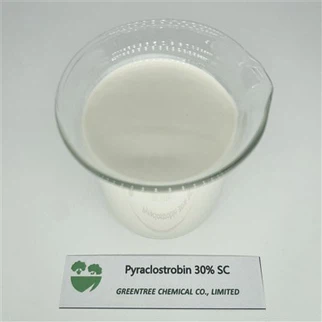 CAS BR. 175013-18-0 Fungicid Pyraclostrobine 30 30 posto SC