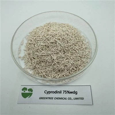 Cyprodinil 75% Wdg baktericidni fungicid C14H15N3