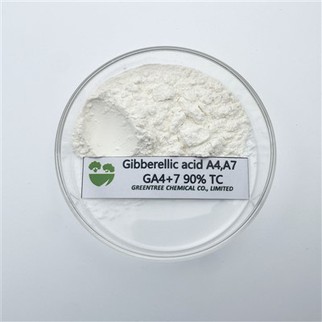 Ga4+7 90% Tc Gibberelin Gibberelic Acid From Agrochemical